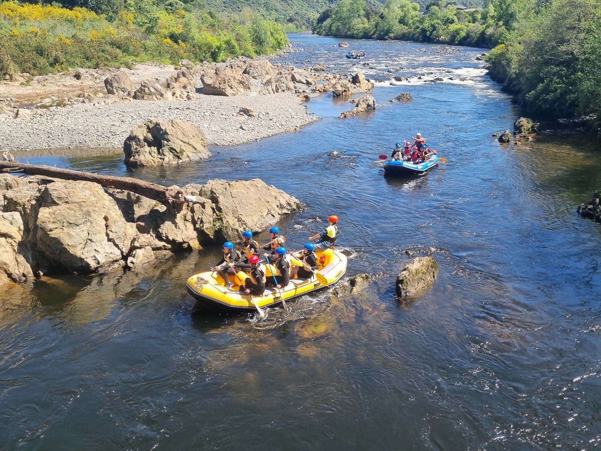 Battle Of The Paddles Hero Banner 2023